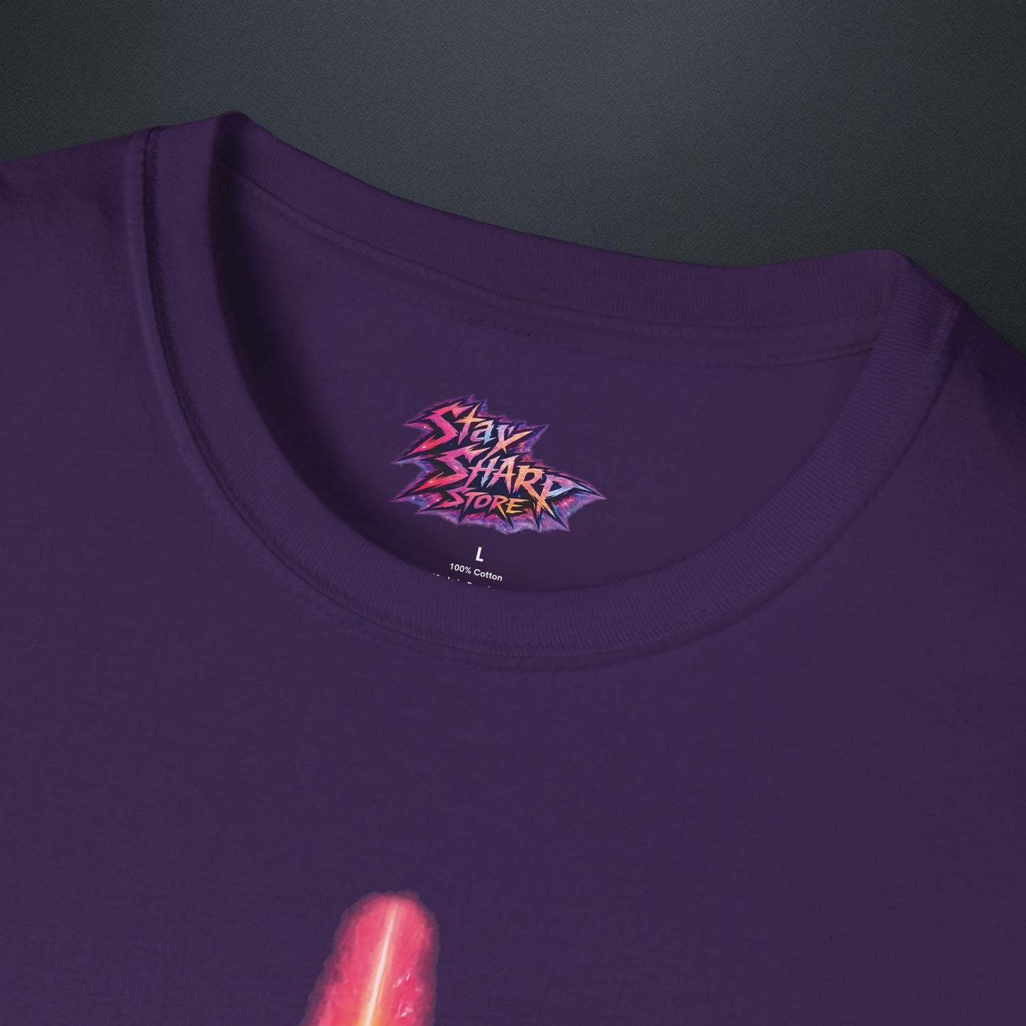 The Dream Came True T-Shirt