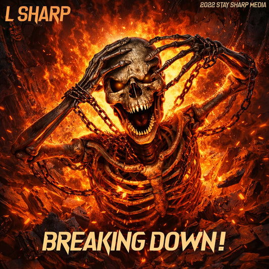 Breaking Down [Digital Audio]