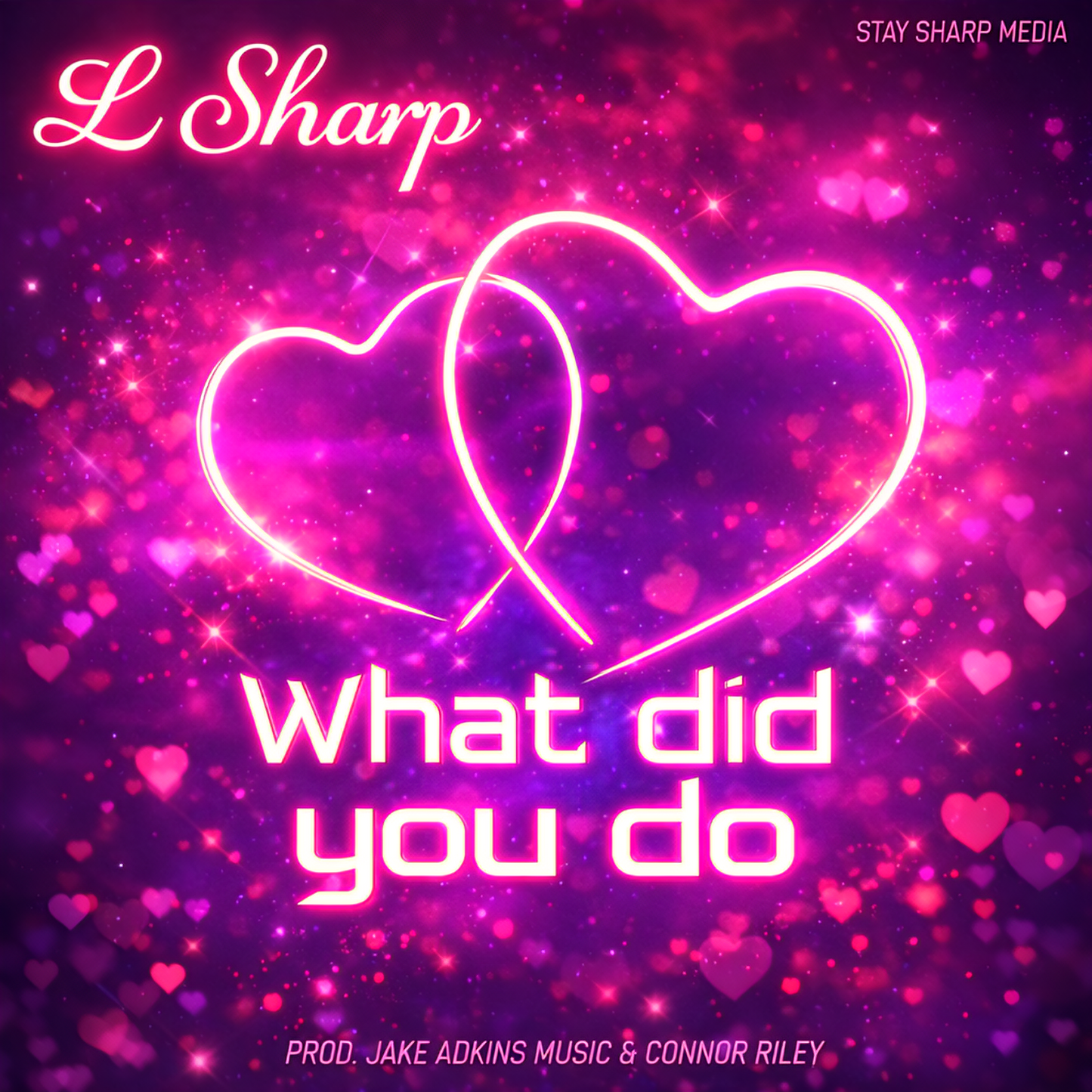What Did You Do [Digital Audio]