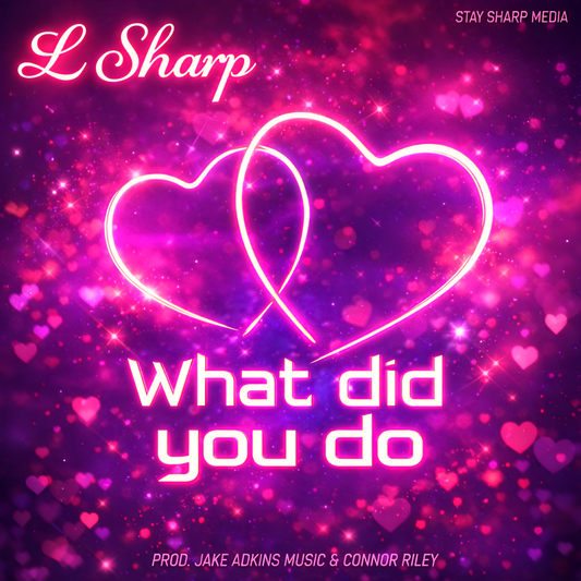 What Did You Do [Digital Audio]
